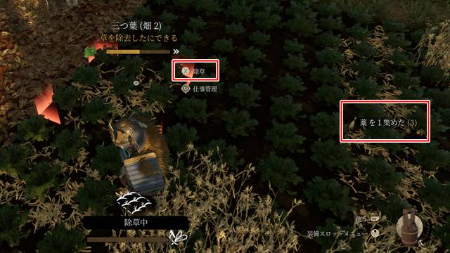 畑を除草する