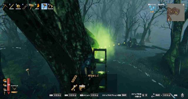 木にハシゴを設置する