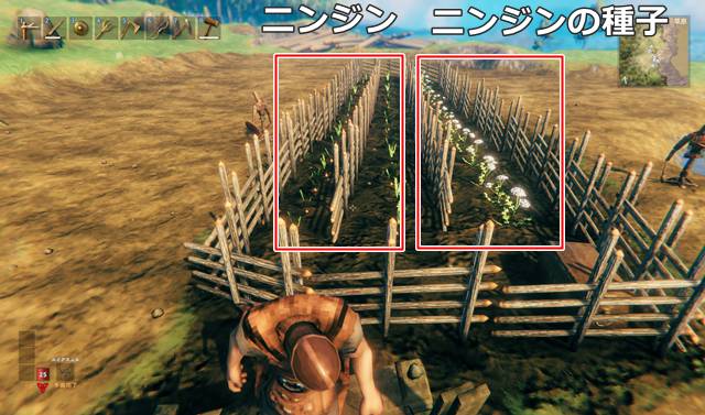 作物の収穫量を増やすコツ