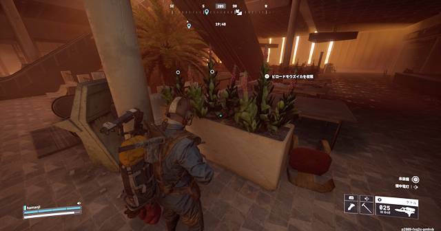 ビロードモウズイカが植えられている花壇