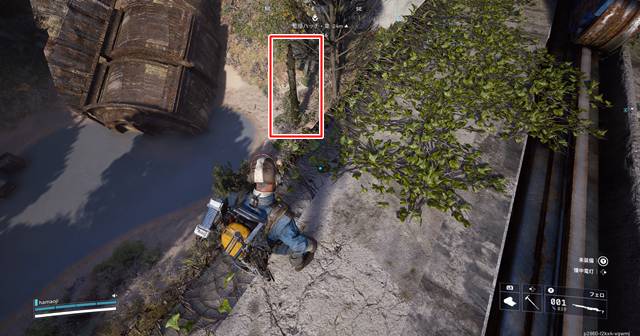 キノコが生えている枯れた木