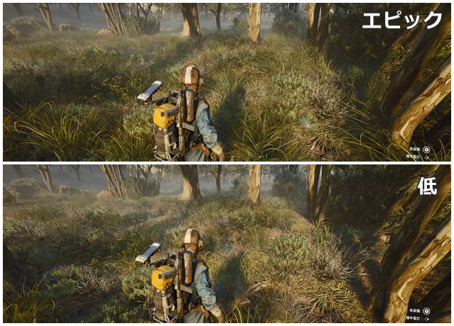 植生のエピックと低を比較