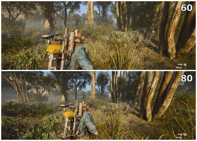 視界の設定60と80を比較