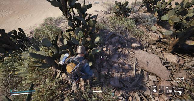 トゥナが入手できる場所