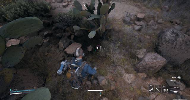 トゥナが入手できる場所