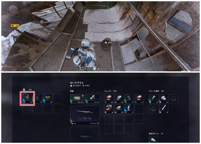 バスケットからキャンドルベリーをゲット