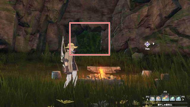 草で覆われている場所