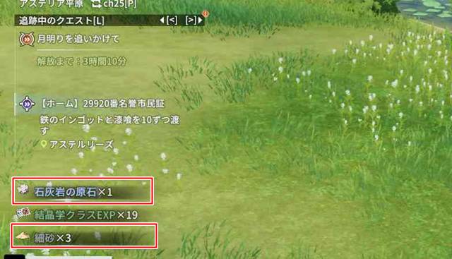 石灰岩の原石をゲット