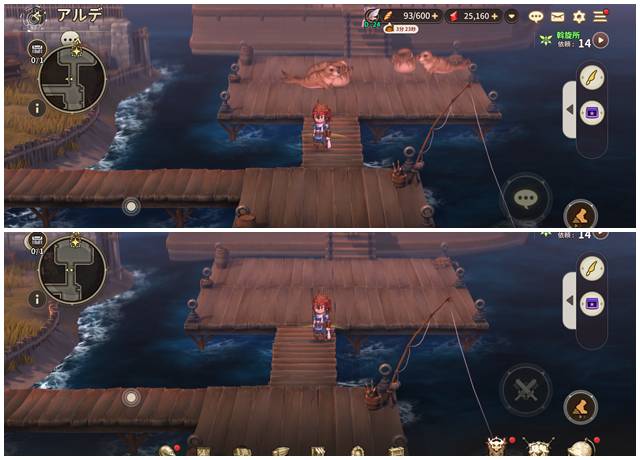 アザラシにエサを投げる