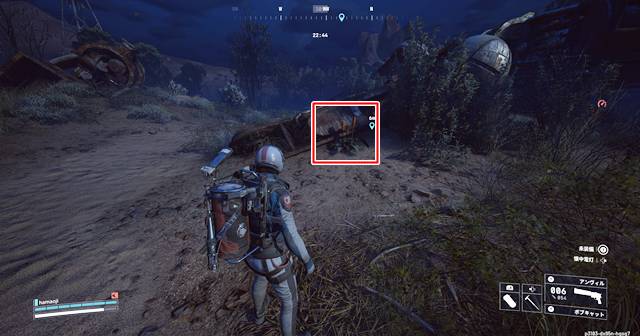 バロンの残骸近くに新しい植物が生えている