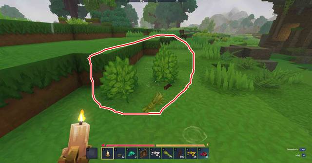 棒や植物繊維の入手方法