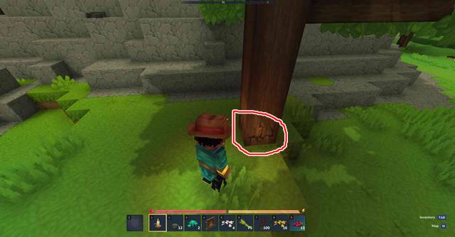 木の下部を殴る