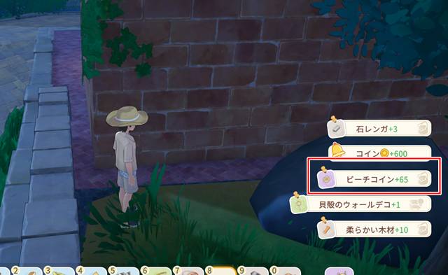 宝箱からビーチコインをゲット