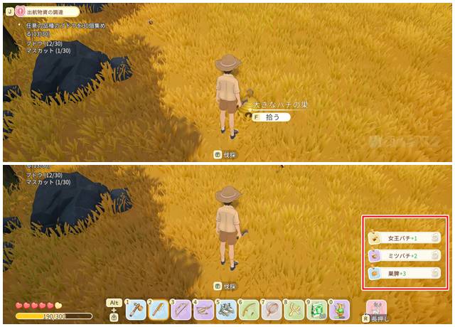 大きなハチの巣