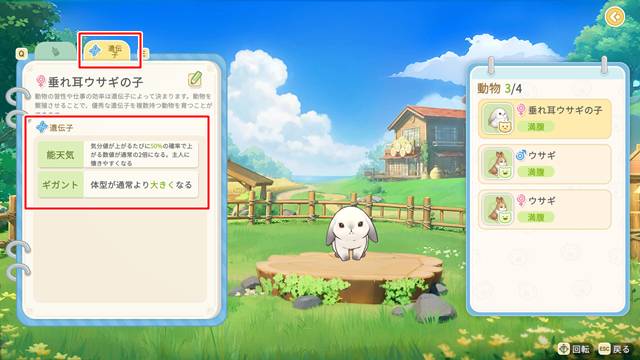 動物の遺伝子情報