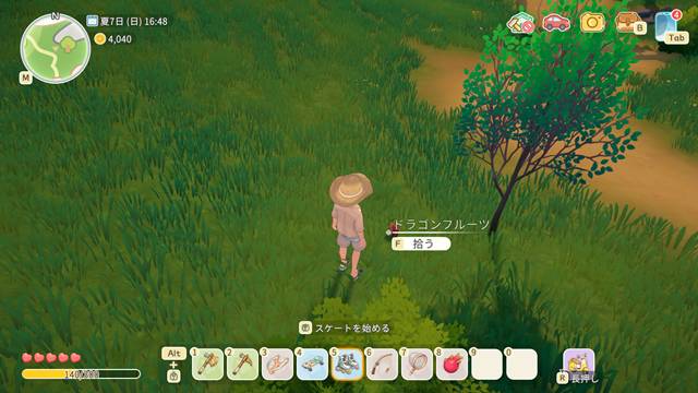 地面に落ちているドラゴンフルーツ