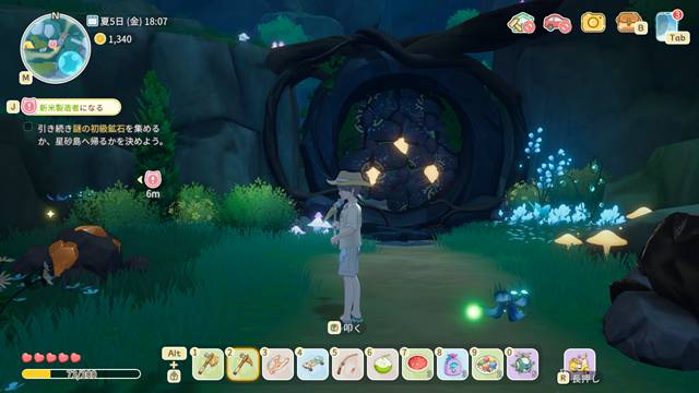 ゲートが岩で塞がれている