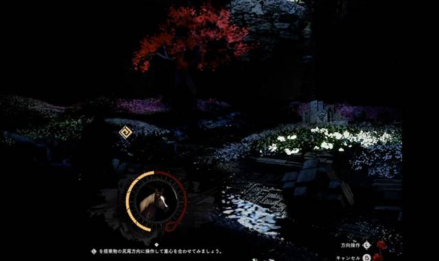 夜はまったく見えない