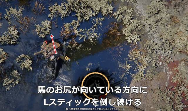 馬のお尻が向いている方向に合わせてLスティックを倒し続ける