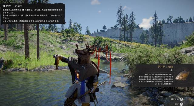 魚が釣れました