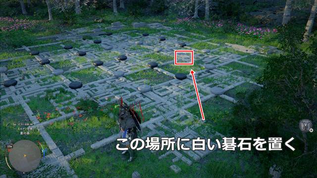 「影の森水辺の遺跡」のギミック