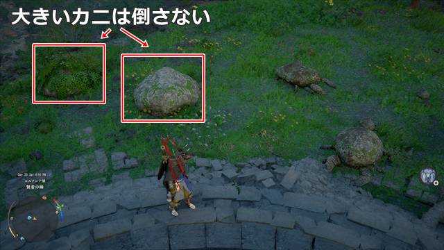 大きな「石殻ガニ」や「草殻ガニ」は倒さない