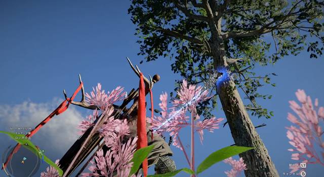 木に摂理の力を発動させてグラップルを装着させる