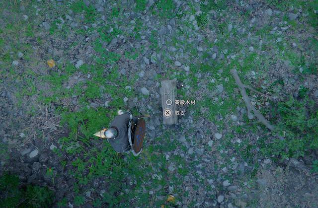 高級木材を入手