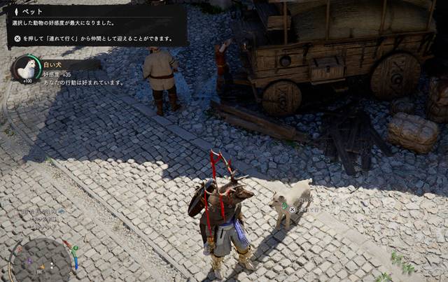 ペットになった犬