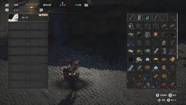 ペットとして登録される