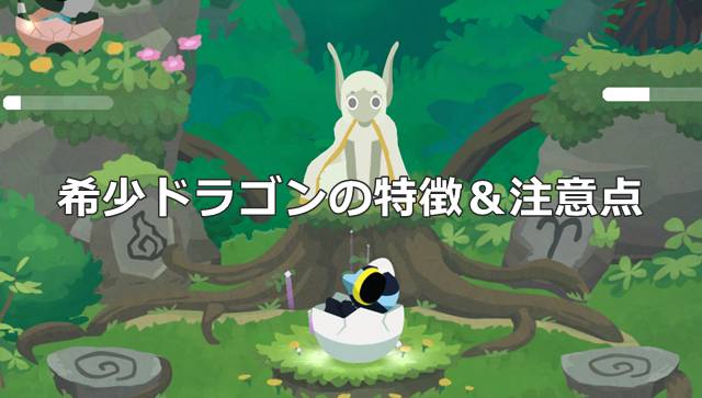 【ドラゴンのねどこ攻略】希少ドラゴンの特徴＆注意点