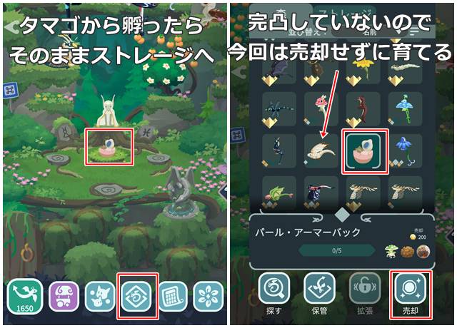 不要なドラゴンは即売り