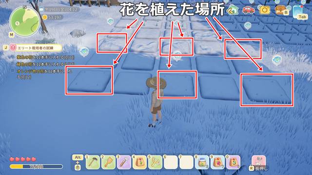 同じ種類を真ん中1マス空けて植える