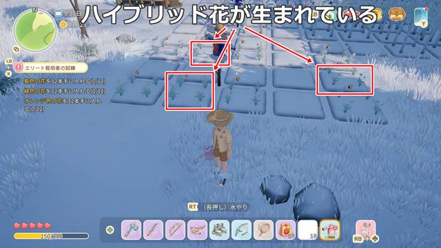 ハイブリッド花が生まれている