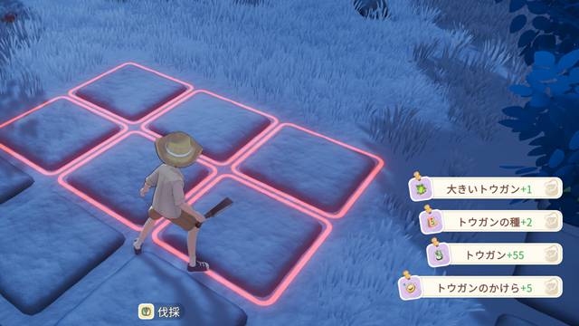 巨大トウガンを伐採