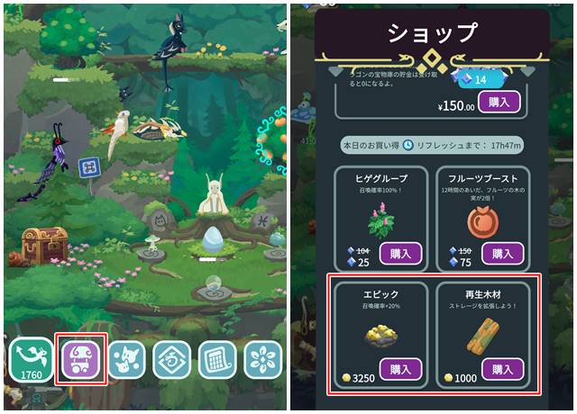 ショップページの「本日のお買い得」コーナー