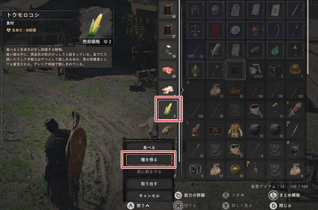 トウモロコシから種を得る