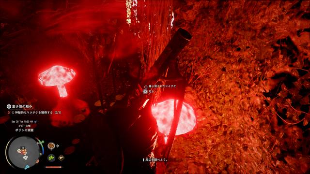 毒に侵されたシイタケをゲット