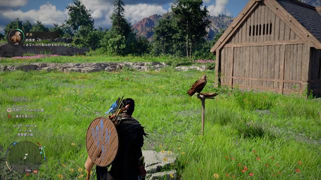 灰色たてがみのキャンプでタカをペットにする