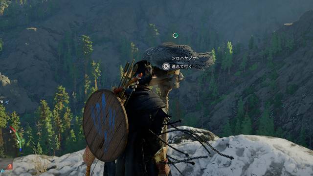 シロハヤブサをペットにする