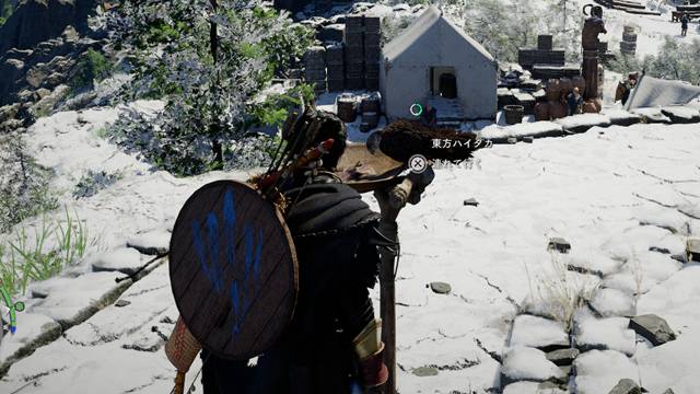 東方ハイタカをペットにする