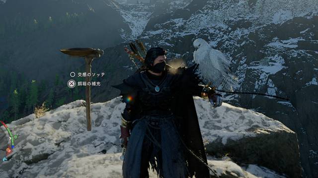 シロハヤブサがかっこいい！