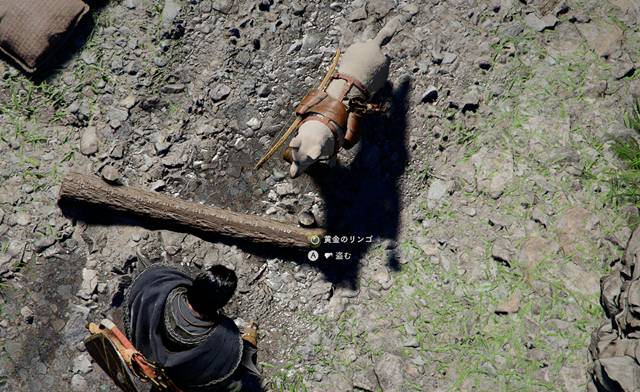 黄金のリンゴを覆面を装備して盗む