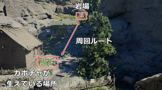 黄金のリンゴハリネズミの周回ルート(