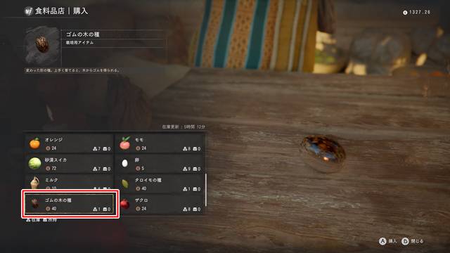 ヴァルニアの食料品店でゴムの木の種を購入する