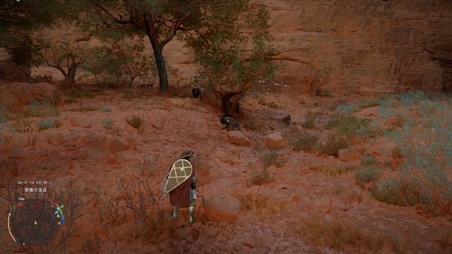 ハイエナを発見