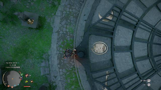 顔が描かれたコインに合わす