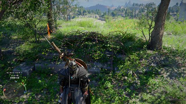 木の蔦に囲まれている台座