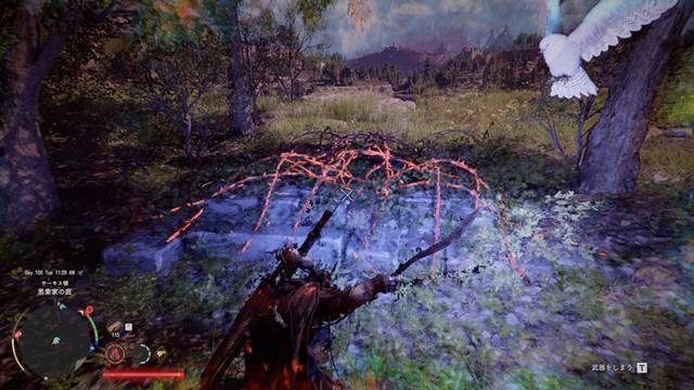 光反射で蔦を燃やす