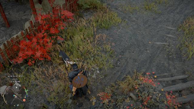 ハスキー犬がいた場所